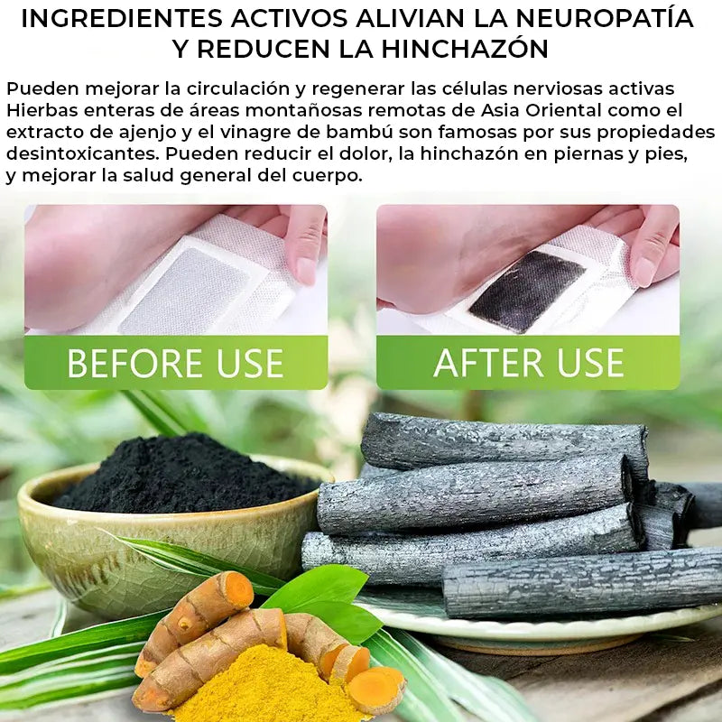 Parches Desintoxicantes Para Pies paquete